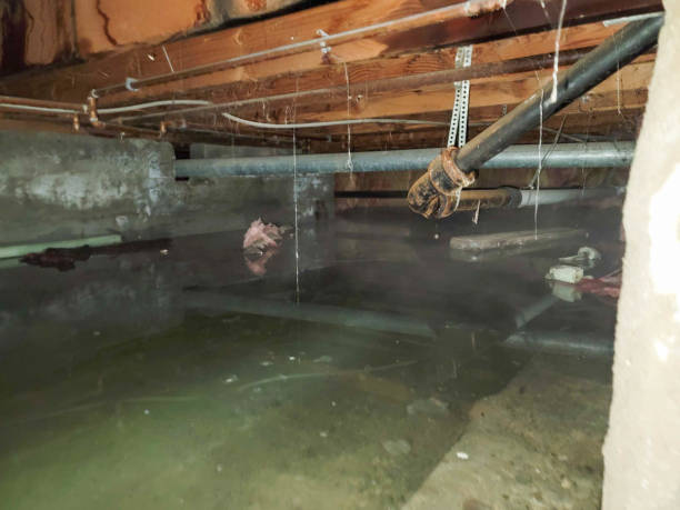 Best Flooded house restoration  in Fair Haven, NJ