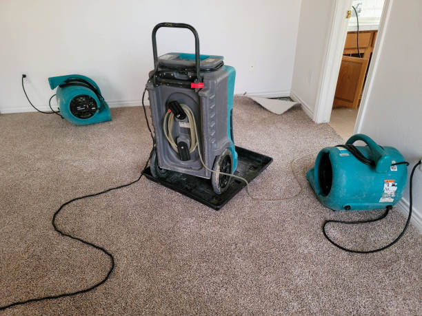 Best Mold removal after water damage  in Fair Haven, NJ