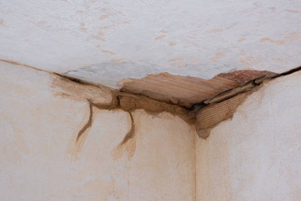 Professional Water damage restoration in NJ