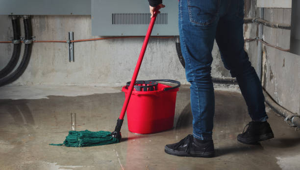  Fair Haven, NJ Water damage restoration Pros