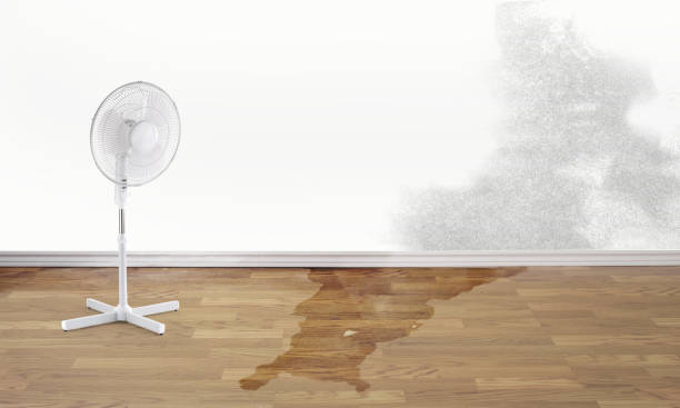 Best Sewage cleanup and water damage restoration  in Fair Haven, NJ
