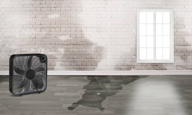 Best Water damage restoration near me  in Fair Haven, NJ