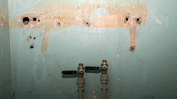 Best Water damage restoration company  in Fair Haven, NJ