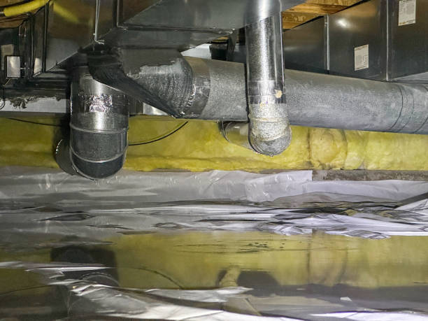 Best Water damage mitigation services  in Fair Haven, NJ